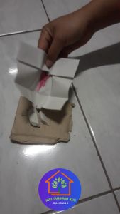 Obat Racun Tikus Mao Wang Ori Hologram Maowang 1 Sachet