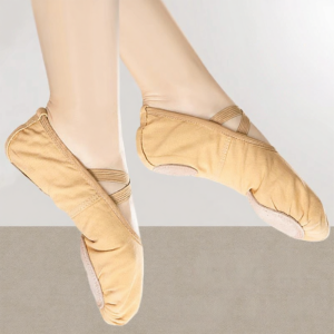 DRAGON-FLY | Dance Practice Shoes Soft Bottom for Classical Dance