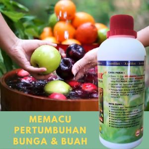 Pupuk Pemacu Pertumbuhan Bunga & Buah Pupuk Zpt Organik Lengkap Terbaik Pupuk Hormon Akar & Batang