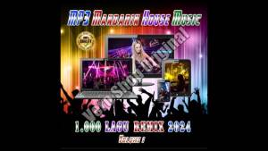 Flashdisk 16Gb Isi 1.000 Lagu MP3 Mandarin Remix Terbaik 2024 Volume 1