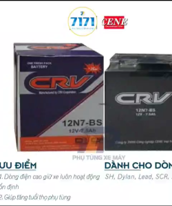 BÌNH ẮC QUY KHÔ XE SH Ý LEAD 110 SCR - 12N7