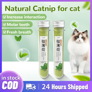 Catnip Powder for Cats 50ml Cat Treat Hairball Control Cat Snack & Interactive Toy