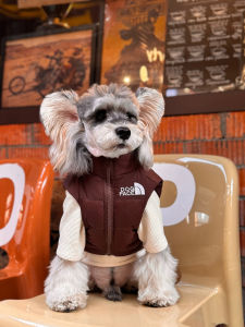 Autumn Winter Dog Clothes down Jacket Vest Outerwear Pet Pomeranian Yorkie Teddy Bichon Papillon Sausage Cat Warm Casual Style