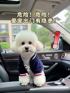 New Pet | Easy Clean Height Adjustable Pet Car Seat Pad