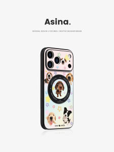Asina | Magnetic Shockproof Leather Style Protective Case with Stand