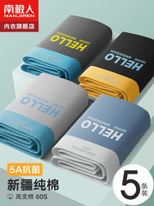 Antarctic People Mens Cotton Underwear: Breathable Flat Angle Shorts, Antibacterial Comfortable Sports Briefs, and Youth Mid-Waist Underwear