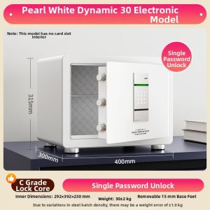 Mini Theft-Resistant Password Safe