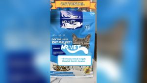 Mr vet Makanan Kucing Kering Premium Mr.Vet 1kg Dry Cat Food