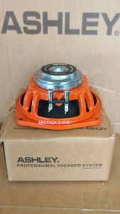 Speaker Komponen ASHLEY ORANGE 650 PRO ORIGINAL / Speaker Componen Neodium 6 Inch Orange650 Pro / Orange-650 Pro Midrange Neodymium