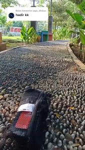 Vioria Shop - Sandal Pria Outdoor - Sandal Jepit Gunung Dewasa Dan Anak / Sandal Outdoor