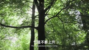 Quạt 5 Cánh Mini Tích điện Treo Tường Để Bàn 3 Tốc độ Gió Nhỏ Gọn Thiết Kế Sang Trọng Quạt Bàn Văn Phòng