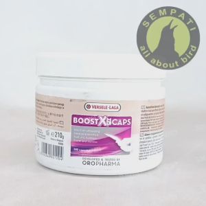 SEMPATI Boost X5 Caps Versele Laga Vitamin Kapsul Burung Merpati Balap Meningkatkan Tenaga Stamina Penguat Otot Juara Lomba BSTX5