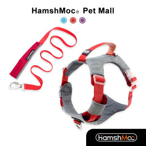 HamshMoc Soft Dog Harness with Leash Set Adjustable Dog Vest Reflective Pet Harness Comfort Control Quick Release Buckle for Small Medium Large Dogs