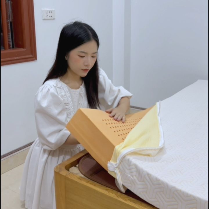 [Bộ quà 7 Món] Nệm Cao Su Thiên Nhiên Latex Thuần Việt - Nâng Đỡ 7 Vùng ...