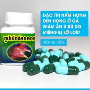 Thuoc tri nấm họng cho gà hủ 20 viên nhập khẩu Thái Lan chính hãng + thuoc tri khò khè cho gà khò khè cho gà nấm họng gà gà bị khò khè