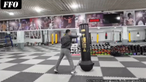 FFO Champion Heavy Duty Standing Punch Bag Boxing Muay Thai KungFu Premium Quality Boxing Bag Professional Heavy Duty Punching Bag