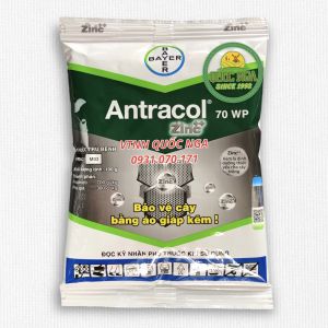 ANTRACOL 70WP - BẢO VỆ CÂY TRỒNG BẰNG ÁO GIÁP KẼM