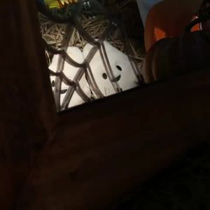 WEIYI-XXT 2024 New Cute Little Ghost Half Pack Cotton Slippers Men and Women Winter Couple Halloween Warm Plush Slippers