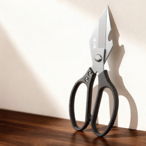 Zhang Xiaoquan | Effort-Saving Sharp Kitchen Scissors
