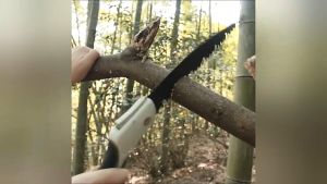 GERGAJI MINI GERGAJI LIPAT TUKANG PORTABLE FOLDABLE SAW WOODWORKING 250MM