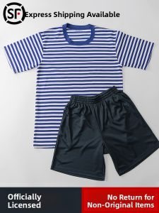 Mens Summer Quick Dry Sports T-shirt Short Sleeve Training Fitness Work out Top Blue White Stripes Set Loose Fit round Neck