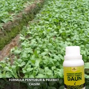 Pupuk Sawi Caisim / Pupuk Caisim Biar Cepat Besar / Pupuk Caisin Organik Cair Semprot Penyubur Daun