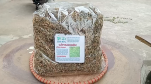 1kg cây rau diệu sấy khô hữu cơ