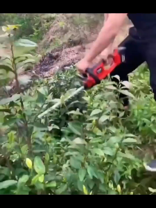 อัพเกรดใหม่ เครื่องตัดแต่งพุ่ม เครื่องตัดแต่งกิ่ง แบตเตอรี่ลิเธียม 48V แบตเตอรี่คู่ สามารถใช้เป็นเวลา4 ชั่วโมงได้ มอเตอร์ไร้แปรง ใบมีดเหล็กแมงกานีสคู่