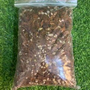 The Ultimate Guide to Collectors Edition Mix Soil: Indoor Plant Soil Better Than Loam