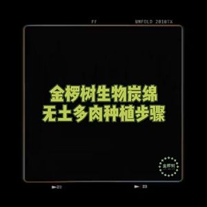 Hydroponic Seed Pod Replacement Grow Sponge Root Riot Growth Replacement Cubes For Growing Succulents/Vegetables/Fruits