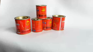 Keo Rồng Vàng P-66-Keo con cho-Keo dán giầy dép siêu dính Dán vải da dán cao su-nhựa- da simili da