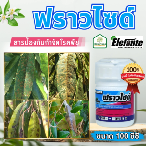 ฟราวไซด์ ฟลูอะซินาม สารป้องกันกำจัดเชื้อรา ออกฤทธิ์กว้าง กำจัดโรคพืชที่เกิดจากเชื้อรได้หลายชนิด ขนาด 100 ซีซี
