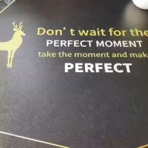 10 ชิ้น ตะขอกาวติดผนังถ้วยดูดใส พร้อมส่งจากไทย