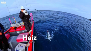 Ecooda Joran Slow Jiggimg Rod 1.85M/1.88M/1.90M PE 1-4 Jig 40g-300g Spinning/Overhead Full FUJI JP148