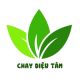 CHAY DIỆU TÂM
