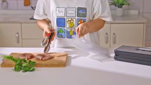 Biolomix ElekChef Stainless Steel Automatic Vacuum Sealer Packing Machine Wet Dry Food Storage Packer With Free 10pcs Sealing Bags Elek Chef Vacuum Seal Containers - Lazada