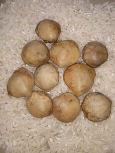 10 set kijing kancing sabdodadi