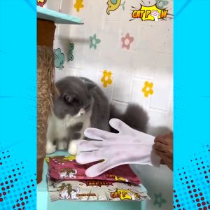 CATPOW Pet Care Wet Gloves Sarung Tangan Mandi Kucing Anjing Kelinci Tanpa Bilas Isi 5 pcs