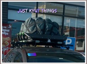 Roof rack cargo net fit to all carrier