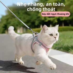 Dây Dắt Chó Mèo Ngăn Ngừa Trốn Thoát Và Hạn Chế Ngạt