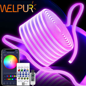USB Powered Gaming Backlight Lights Strip RGBIC LED Neon Lights 5v Flexible Ribbon Tape Neon Lights With Bluetooth Music Sync
