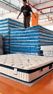 Spinal Support Spring Mattress / Thickened with Moderate Firmness / Roll - up Spring Mattress / Single Bed / Queen - Size Bed / King - Size Bed
