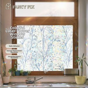 fancy fix | Anti-Peep Rainbow Window Film Frosted Transparent Colored