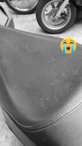 Chai Xịt Dưỡng Bóng Và Làm Sạch Nội Thất - TELOX WAX 550ml - Cải Tạo Da Đánh Bóng Và Làm Sạch Sâu