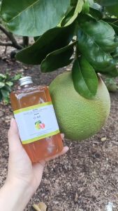 Nước Ép Bưởi Lên Men 350ml Combo 2 Chai