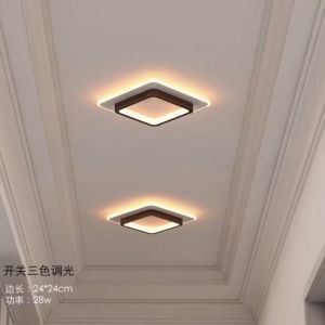 【Free Gift】LED Ceiling Light Modern Corridor Light Bedroom Center Light Nordic Ceiling light Fixture Ceiling Light for Living room Bedroom dining room Aisle Balcony Home decor