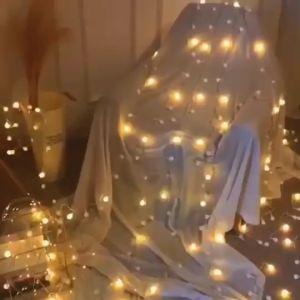 Bayar Di Tempat - [8 Meter] Lampu Anggur Bola Natal Hias LED Bulat / Lampu Tumblr Bola Anggur