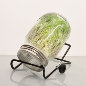Home Use Mason Jar Sprouter Vegetable Germination Tool Creative Kitchen Storage Container Glass round Shape Anti-mold