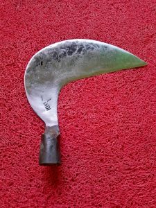 arit sabit super tajam  bazza murni persi kidal