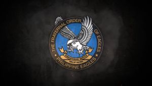 The Fraternal Order of Eagles Ethnic 3D Printed T Shirts Short Sleeved Tops For Men And Women Logo Printed Clothing Summer T Shirts